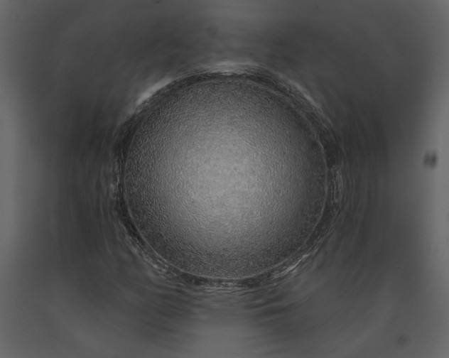 X0000091231158200708231648