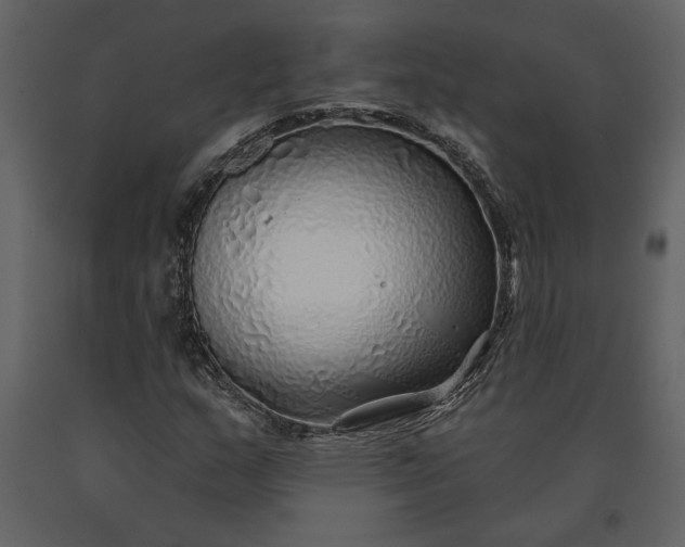 X0000091231159200708231648