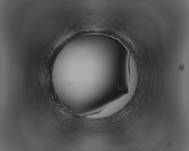X0000091231160200708231648