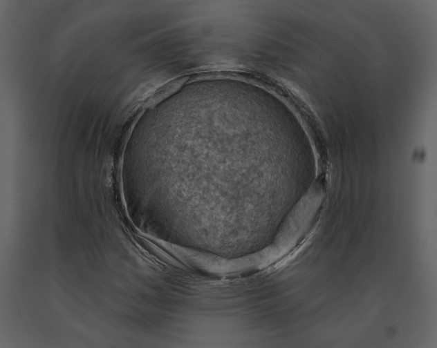 X0000091231161200708231648