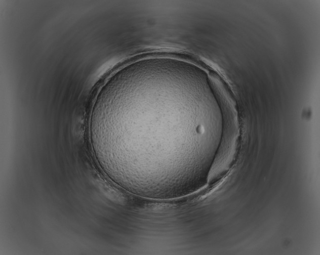 X0000091231163200708231648