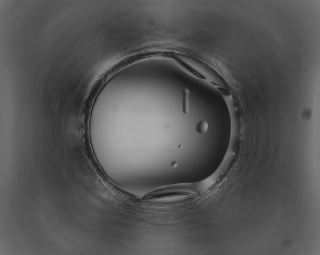 X0000091231164200708231648