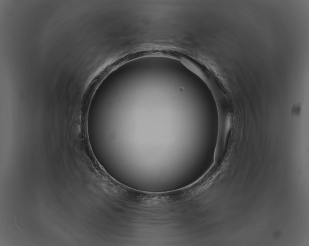 X0000091231165200708231648