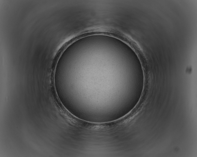 X0000091231166200708231648