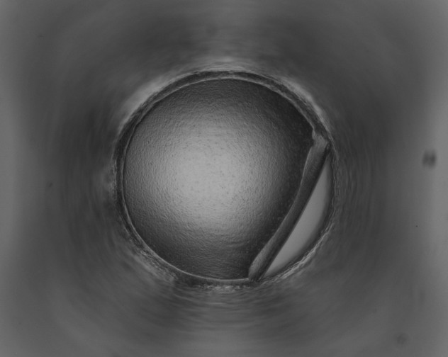X0000091231167200708231648