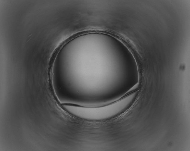 X0000091231168200708231648