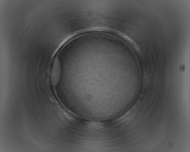 X0000091231170200708231648