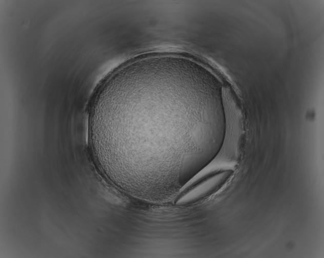 X0000091231171200708231648