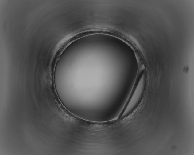 X0000091231172200708231648