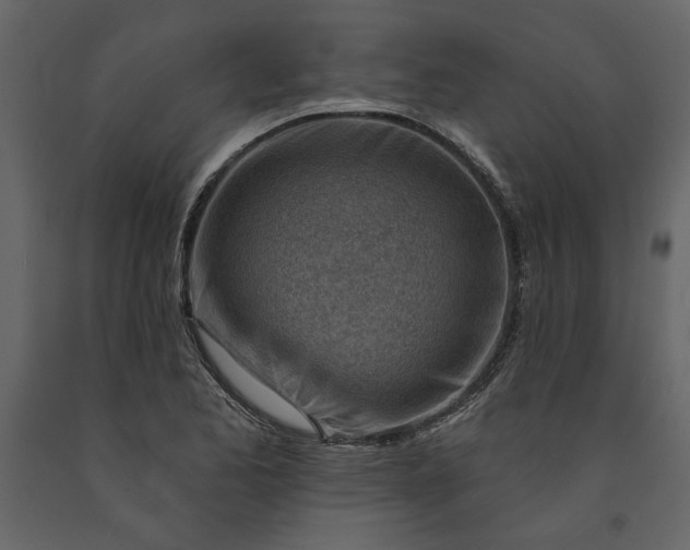 X0000091231173200708231648