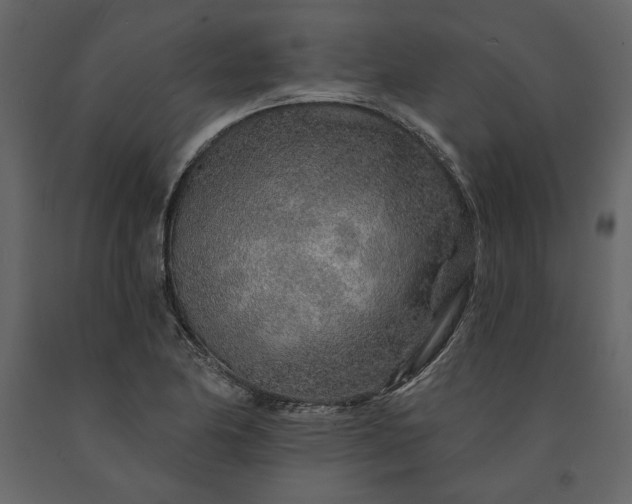 X0000091231174200708231648