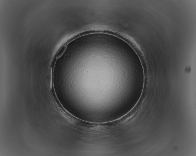X0000091231175200708231648