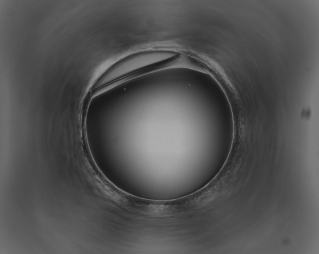 X0000091231176200708231647