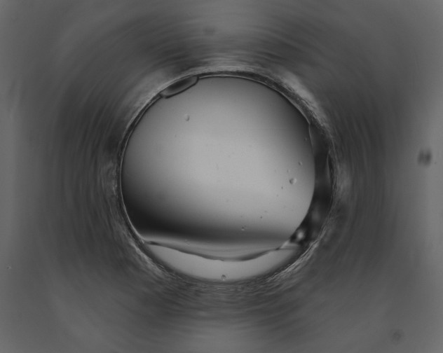 X0000091231177200708231647
