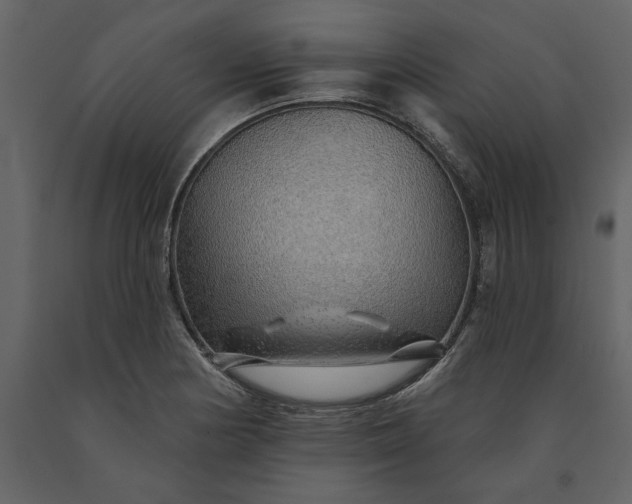 X0000091231178200708231647