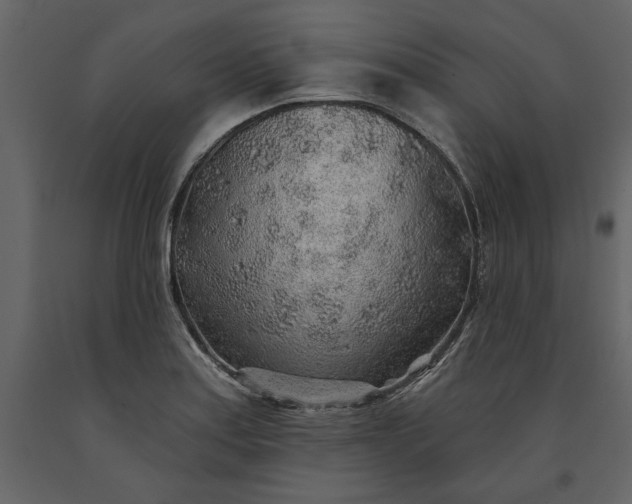 X0000091231179200708231647