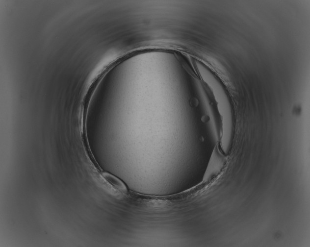 X0000091231180200708231647