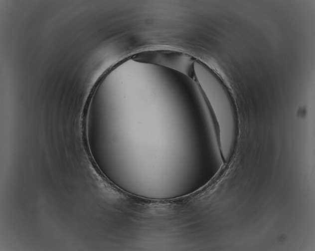 X0000091231181200708231647