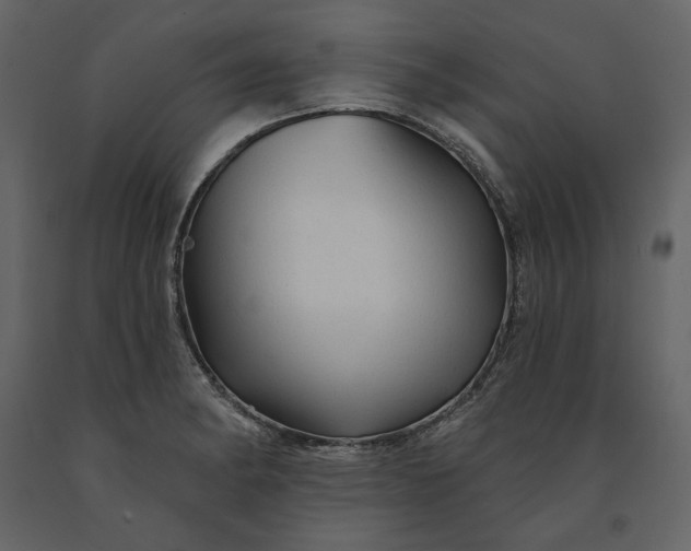 X0000091231182200708231647