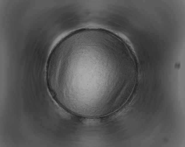 X0000091231183200708231647