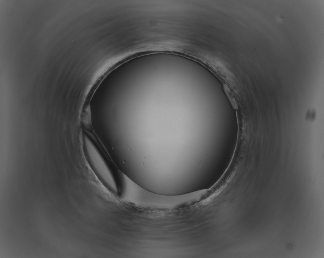 X0000091231184200708231647