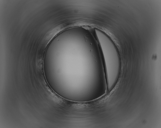 X0000091231185200708231647