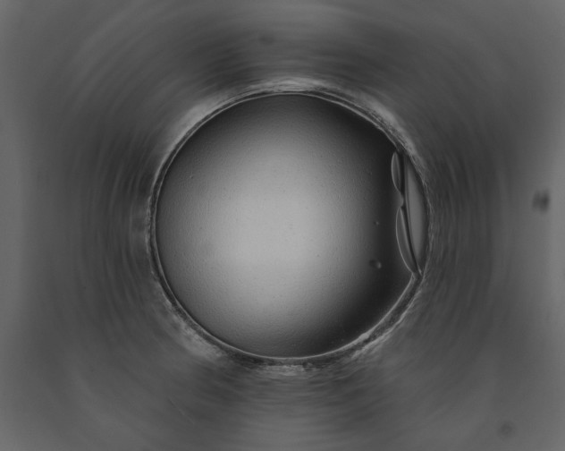 X0000091231186200708231647