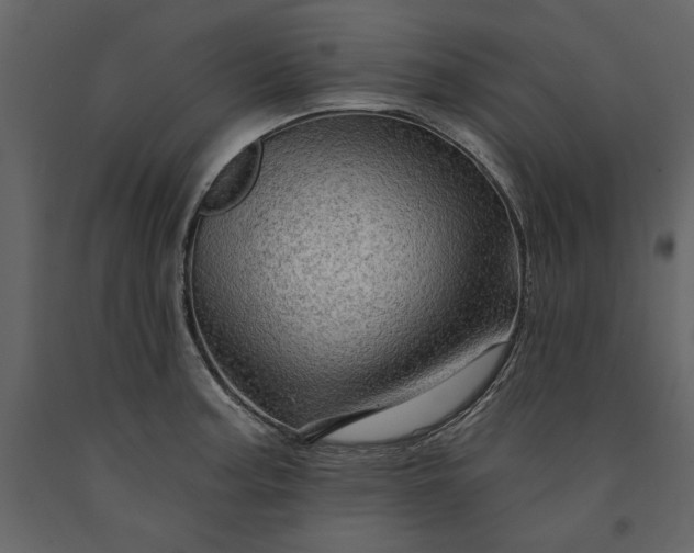 X0000091231187200708231647