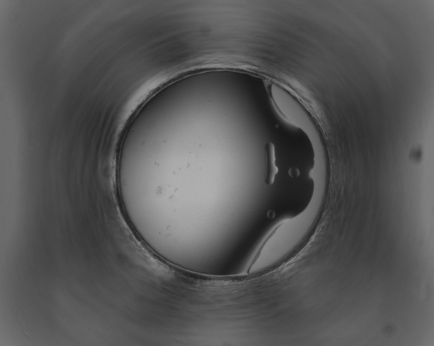 X0000091231188200708231647