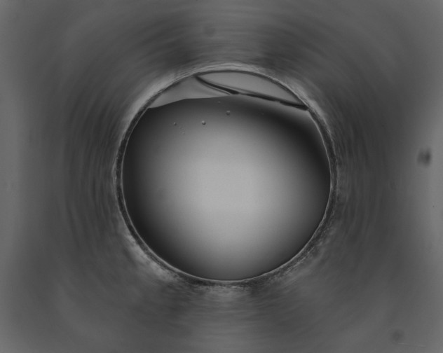 X0000091231189200708231647
