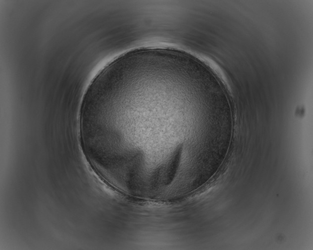 X0000091231191200708231647