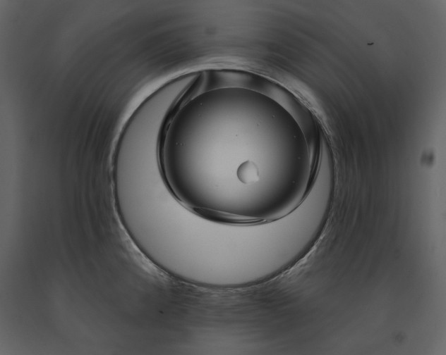 X0000091231192200708231647