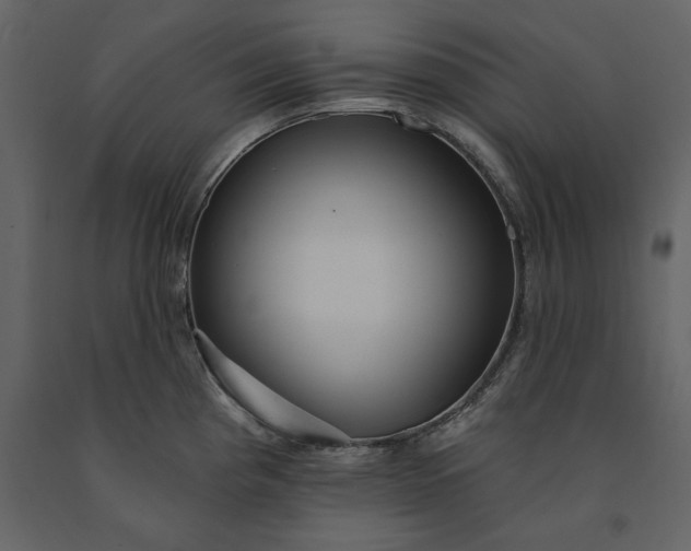 X0000091231193200708231647
