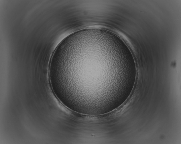 X0000091231194200708231647