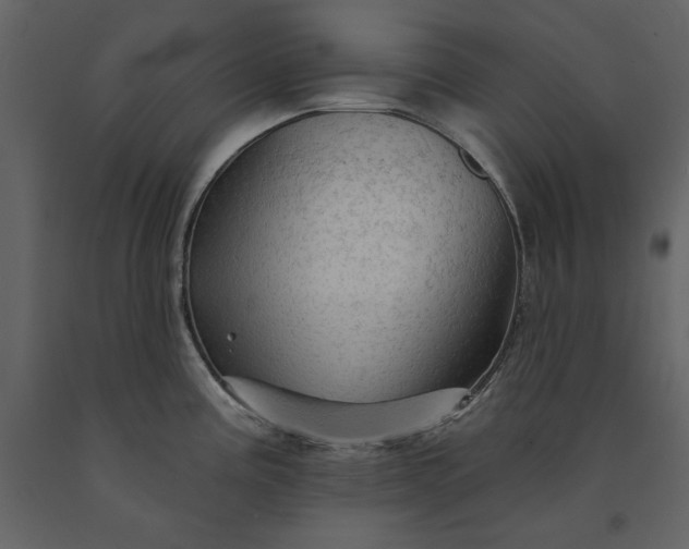 X0000091231195200708231647