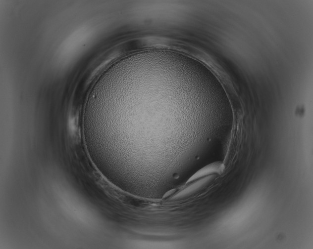 X0000091231198200708231647