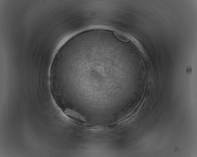 X0000091231199200708231647