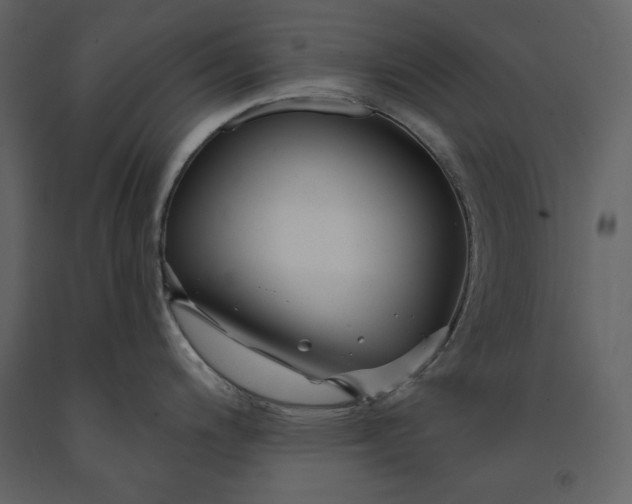 X0000091231200200708231647