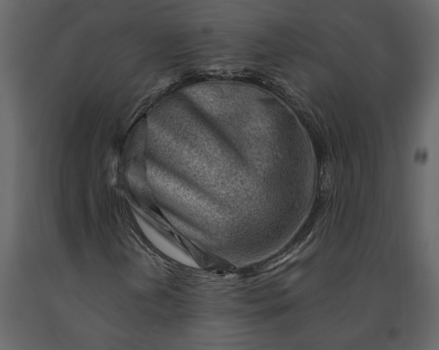 X0000091231202200708231647