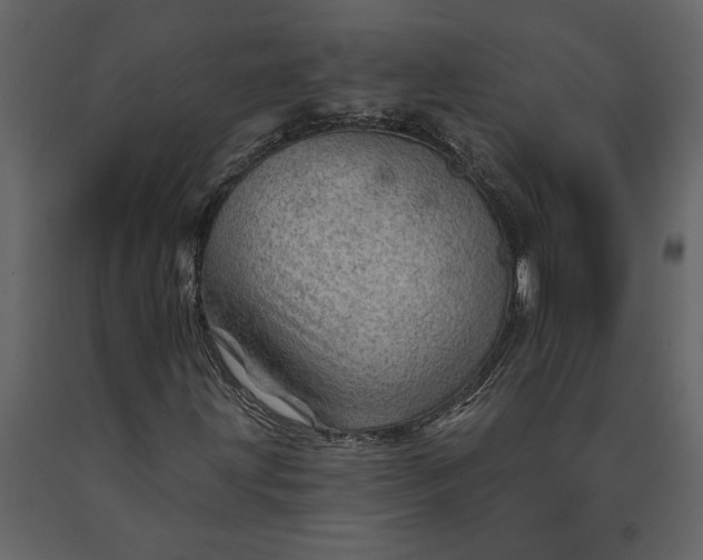X0000091231203200708231647