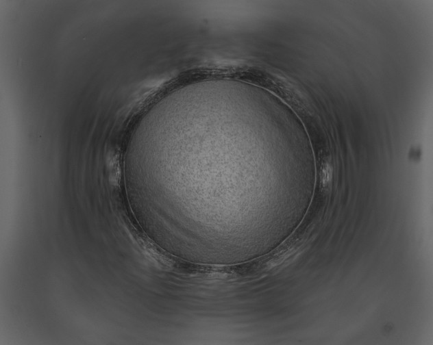 X0000091231204200708231647