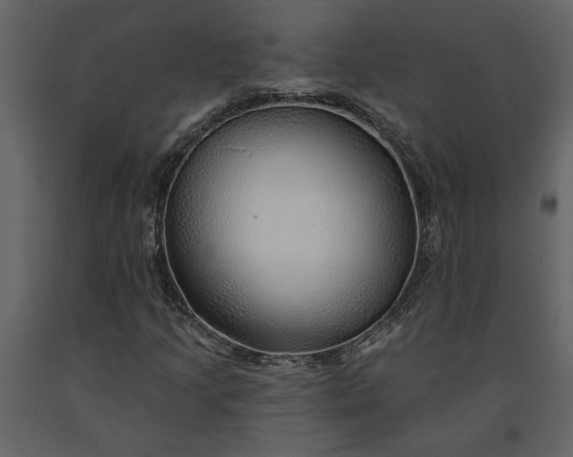 X0000091231205200708231647