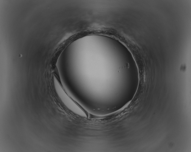 X0000091231206200708231647