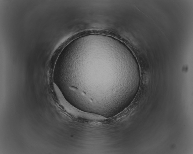 X0000091231208200708231647