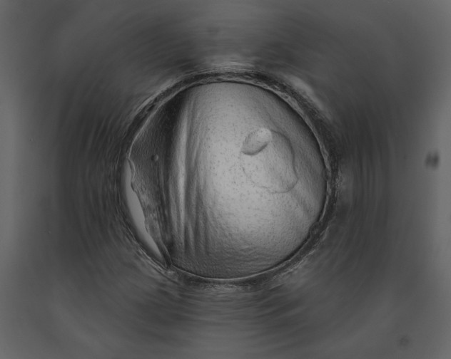 X0000091231209200708231647