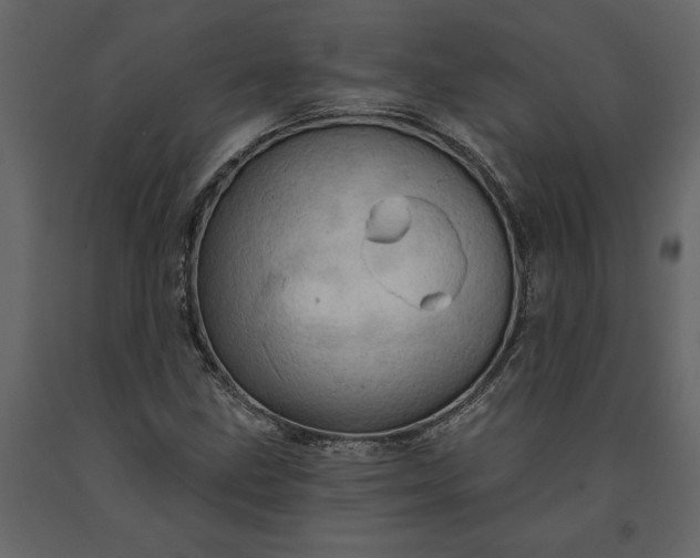 X0000091231211200708231647