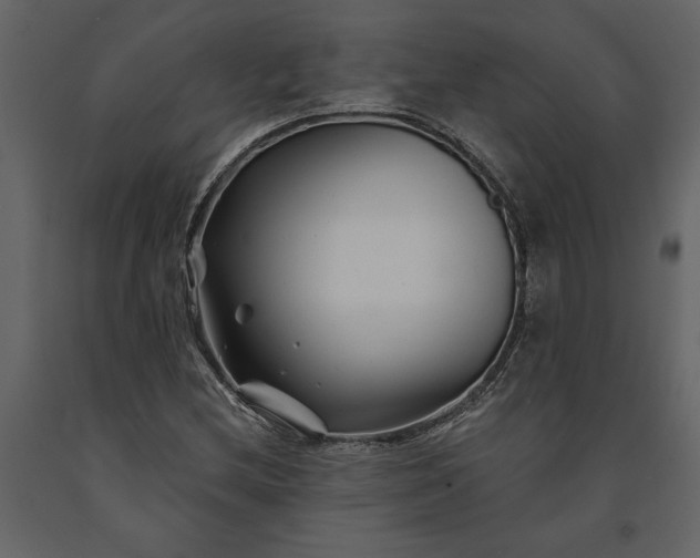 X0000091231212200708231647