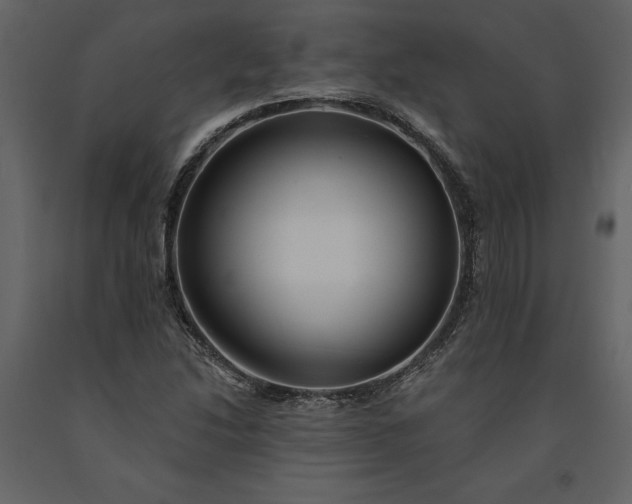 X0000091231214200708231647
