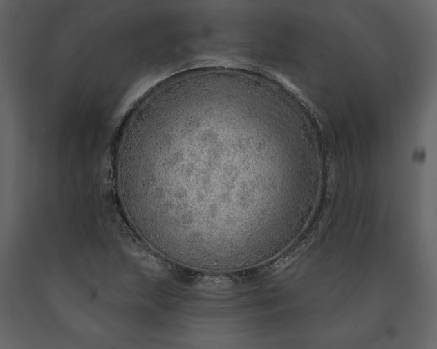 X0000091231215200708231647