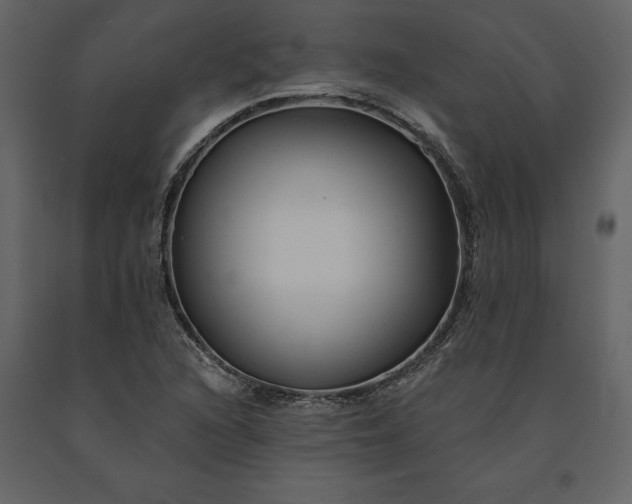 X0000091231216200708231647